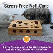 Cat Nail File Puzzle Scratch Box – Fun Play & Healthy Care